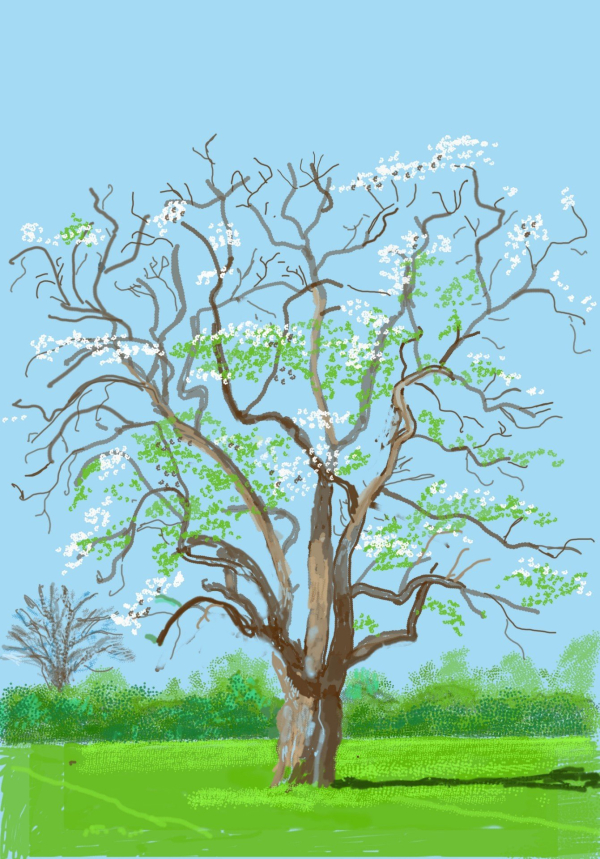 霍克尼2020年春天在“封锁”中的法国