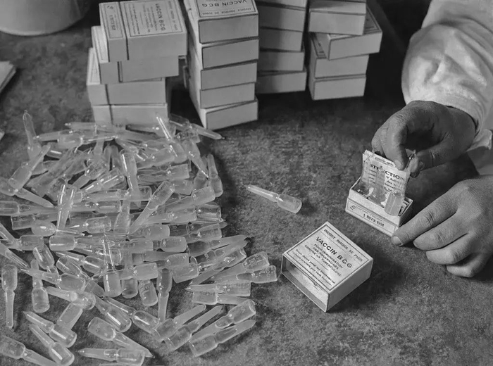 ↑1931年，巴黎巴斯德研究所研制的BCG疫苗安瓶。图据《纽约时报》