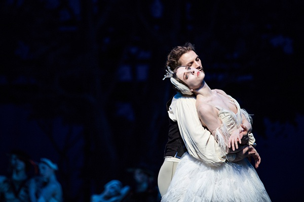 《幻境天鹅湖》