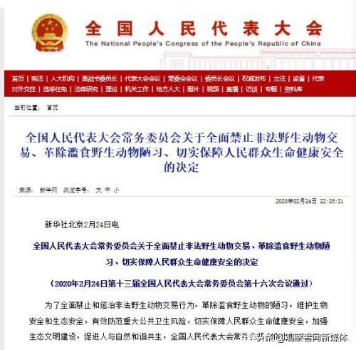 推动立法不准吃狗肉？未来可能引发社会群体撕裂