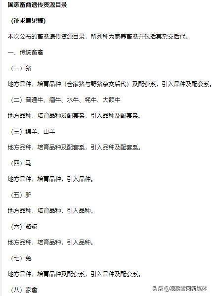 推动立法不准吃狗肉？未来可能引发社会群体撕裂