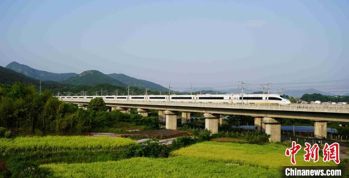    动车组列车飞驰在杭（州）黄（山）高铁线上。 陆应果 摄