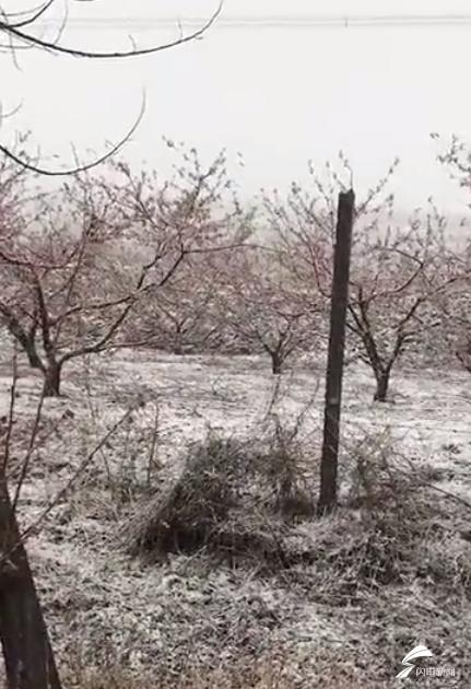 59秒丨潍坊昌乐乔官镇迎来降雪，10日凌晨气温或将降至零下