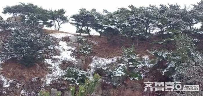 春日烟台蓬莱艾山迎降雪，正常吗？气象专家称是因山峰海拔高