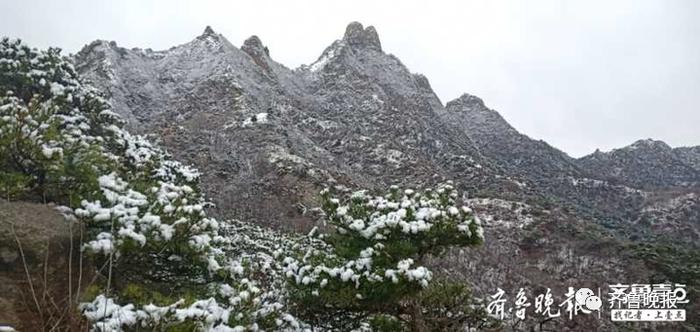 山东多地大雪，你的羽绒服找出来没？