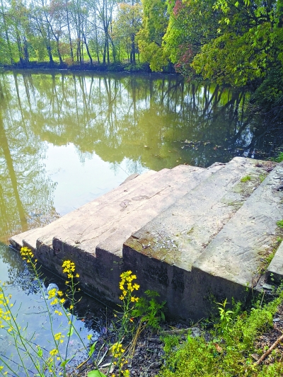     春日的河埠 金 重 摄
