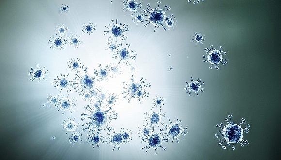 图片来源：视觉中国