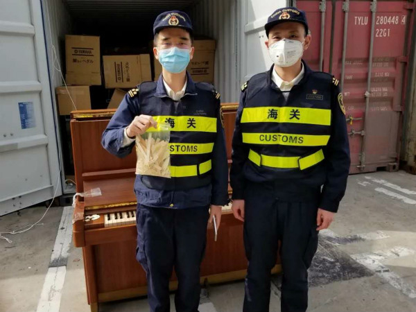 图说：一台旧立式钢琴上有明显纹路且发黄的钢琴琴键，疑似象牙贴片。上海海关 供图