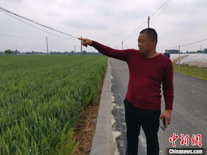 图为陈善亮和他的麦田。　郝学娟 摄