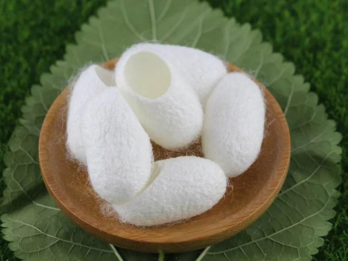 图片来源于网络