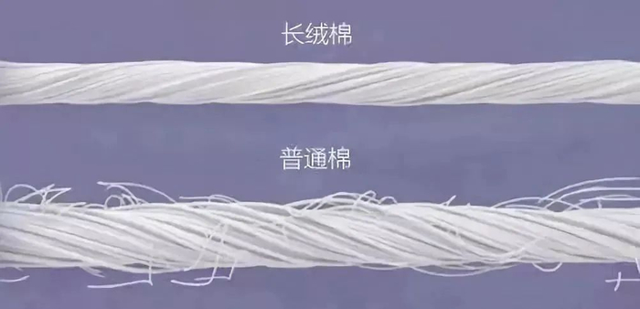 图片来源于网络