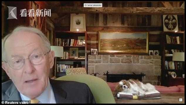 拉马尔·亚历山大