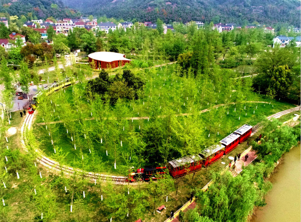 图说：小浦镇十里银杏长廊迎客。许旭 摄