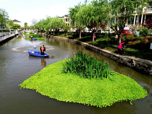 图说：虹星桥镇港口村河长打捞河道漂浮物。许旭 摄