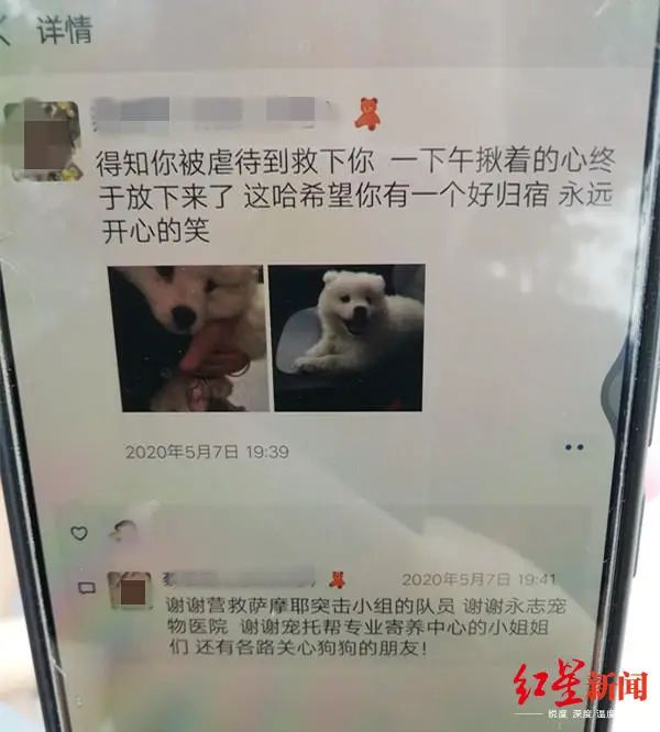 蔡女士救犬后发的朋友圈