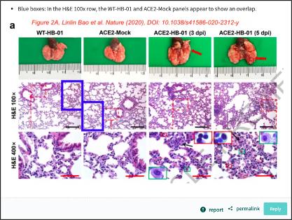 中国医学科学院 Nature 发布新冠论文，上线不到 1 周被疑涉嫌图片造假