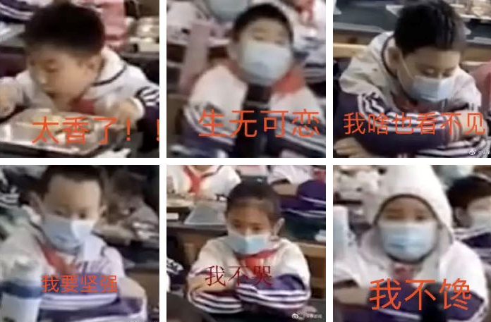 2020大型开学比惨现场：宿舍惊现鸟窝，厕所长出番茄...看完准备返校的同学都崩溃了