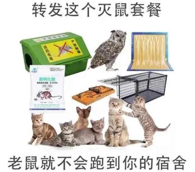 2020大型开学比惨现场：宿舍惊现鸟窝，厕所长出番茄...看完准备返校的同学都崩溃了