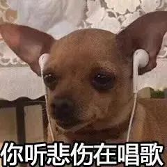 2020大型开学比惨现场：宿舍惊现鸟窝，厕所长出番茄...看完准备返校的同学都崩溃了