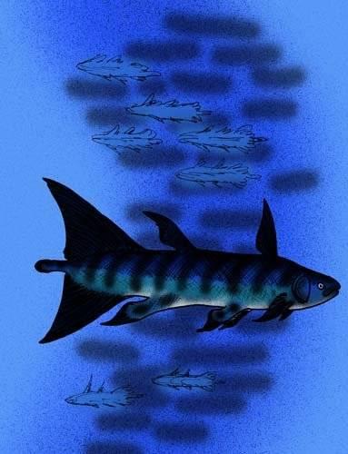 叛逆腔棘鱼：三叠纪海洋中的“反叛者”