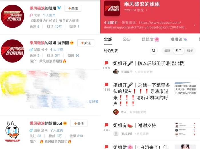 当她们“引爆”《乘风破浪的姐姐》时，他们在期待什么？