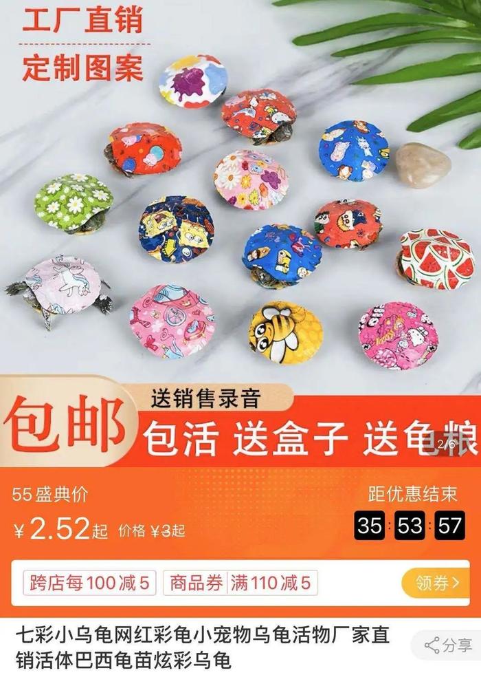 好好的宠物，无良商家就这么瞎霍霍？？？