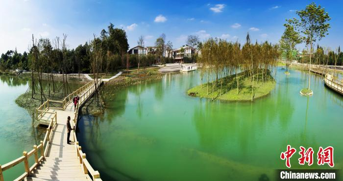 图为成都市温江区幸福田园。　成都市温江区文体旅局 摄