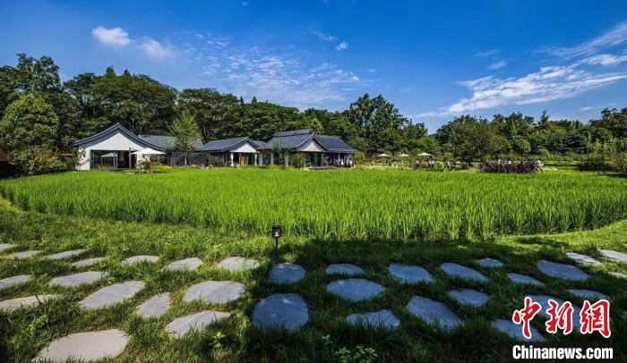 图为成都市温江区依田桃源。　成都市温江区文体旅局 摄