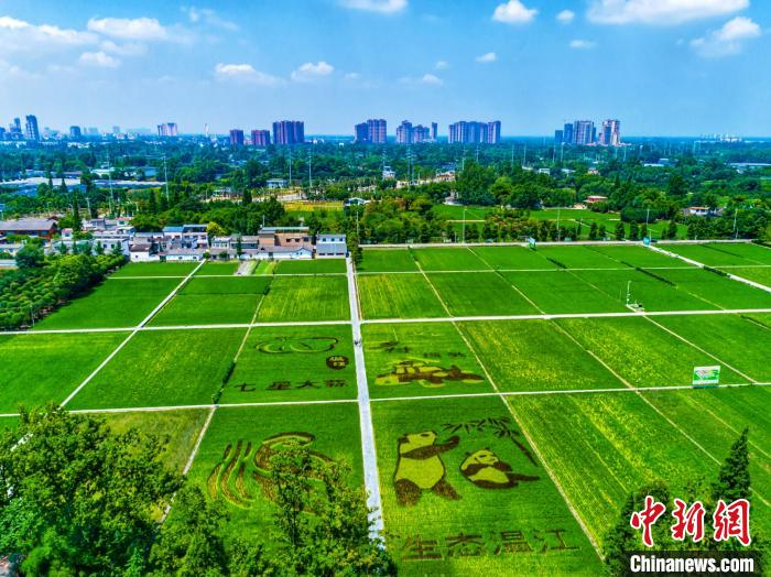 图为成都市温江区和林原乡。　成都市温江区文体旅局 摄