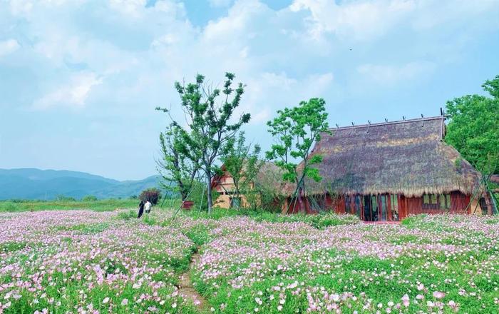 入夏了，杭州这些好地方有了新玩法，吸引近百名记者、网红吆喝推介！