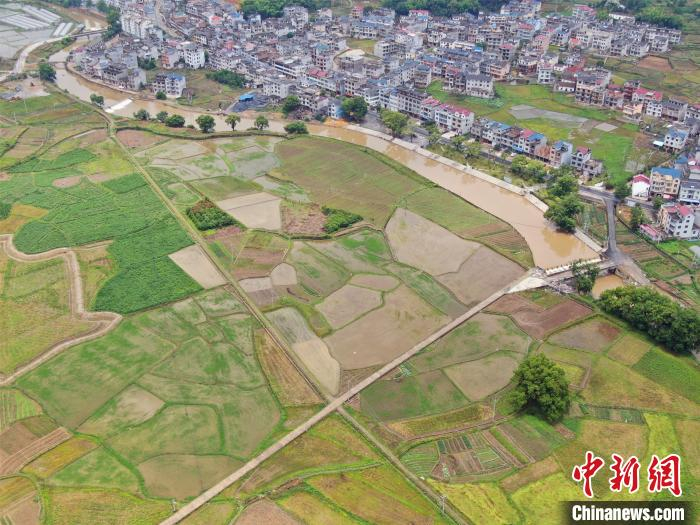 图为江西省上饶市广信区华坛山镇饶北河支流河水混黄，水位暴涨。　王剑 摄