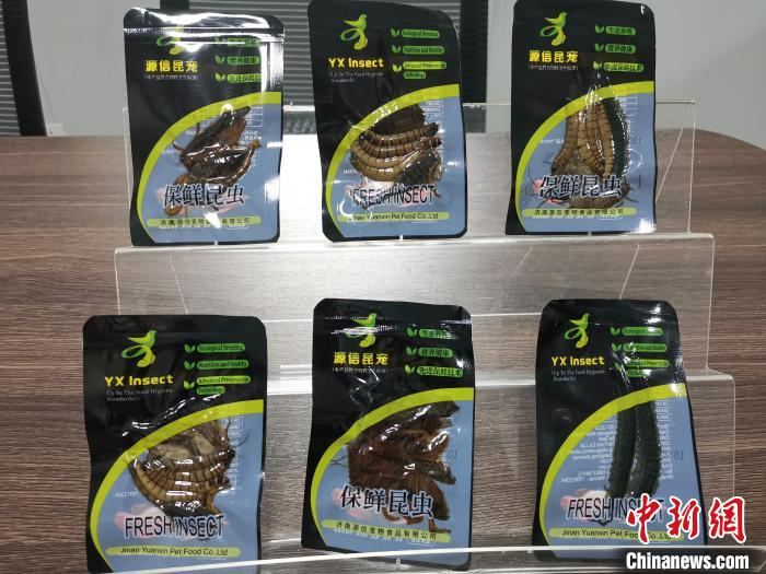 图为黄粉虫产品。　孙宏瑗 摄