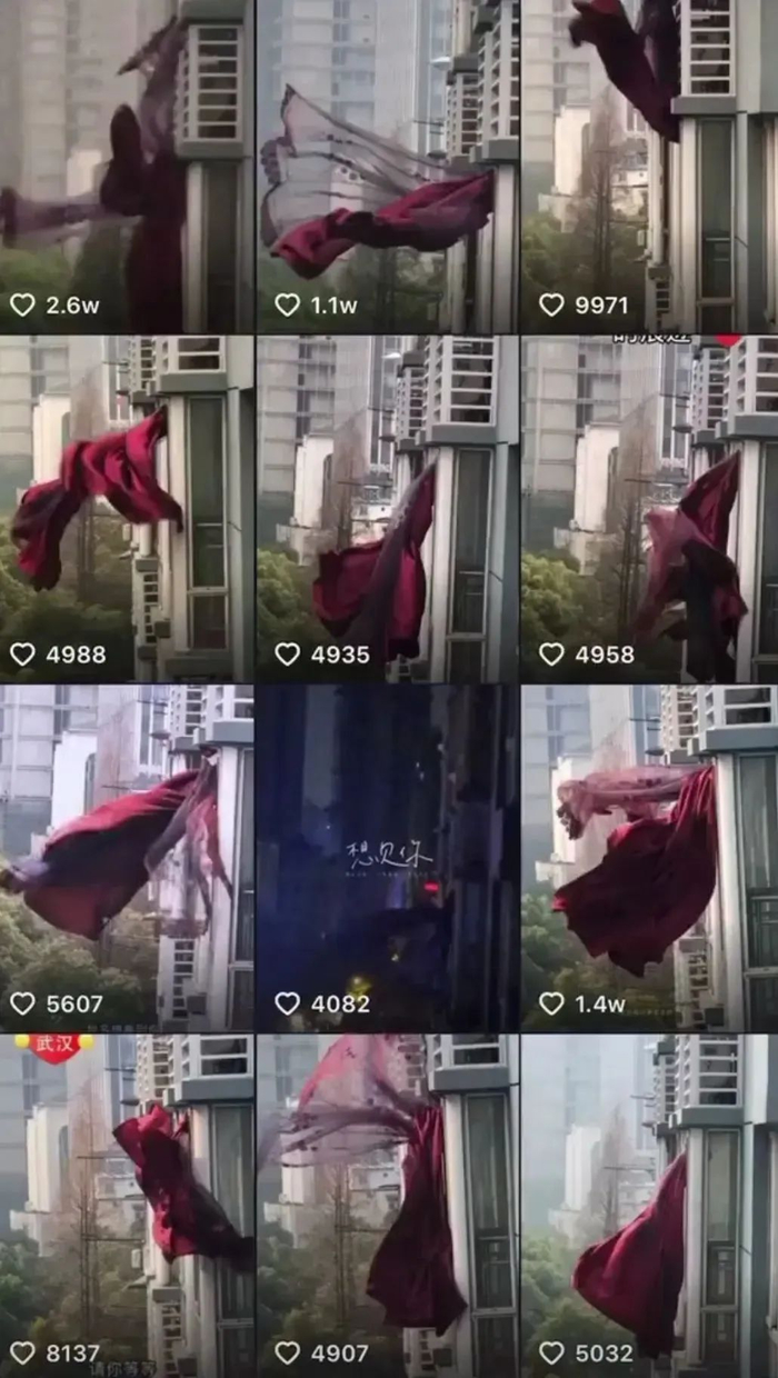 ▲抖音视频截图。