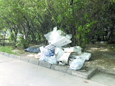 来不及清运的塑料泡沫制品暂时堆弃在绿地中。