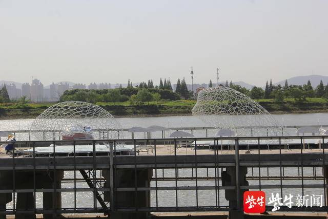 图为江边建的6只江豚塑像。