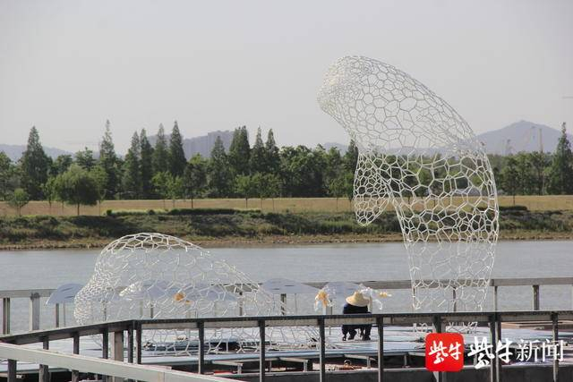 图为江边建的6只江豚塑像。