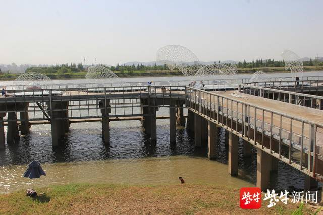 图为江边建的6只江豚塑像。