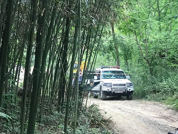 四川江油“熊患”：3村民接连遇袭身亡，家属想“移民下山”