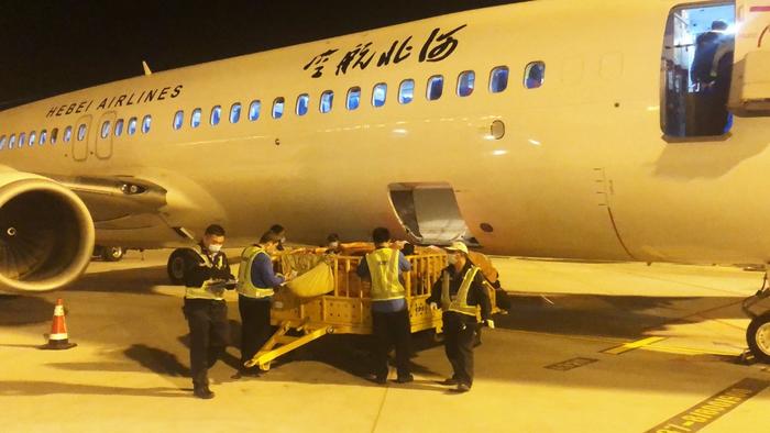 北京大兴国际机场首个“客改货”航班起飞，河北航空执行