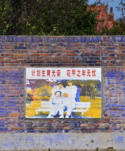 吉林省松原市长岭县新安镇新一村，村委会大院的砖墙上的标语。