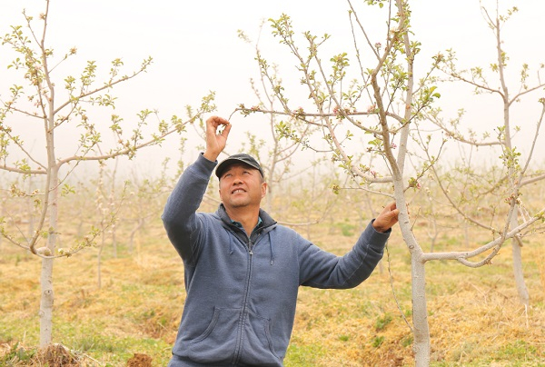 图说：灯草湾当前的主人李铁 龚飞 摄