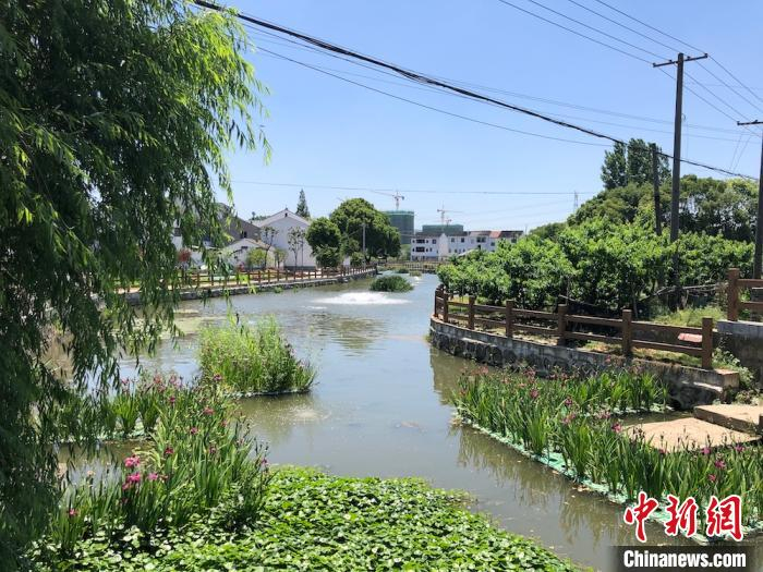 青龙桥河河道两边草木葱茏。　孙权 摄