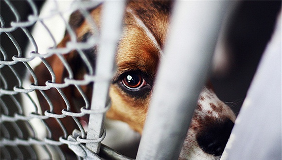 图片来源：视觉中国