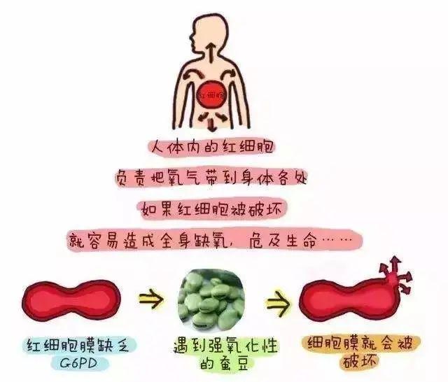 1岁男童发热呕吐，突发血尿！只因吃了这道家常菜，正大量上市