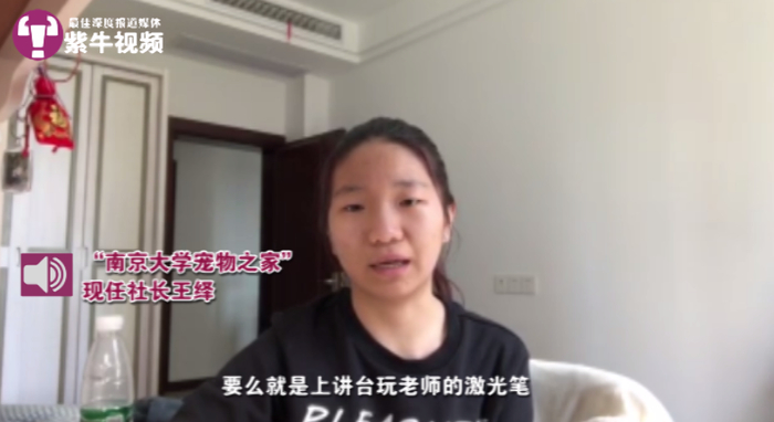 【紫牛头条】被北大猫协刷屏了,其实南京高校的流浪猫图鉴也超有爱