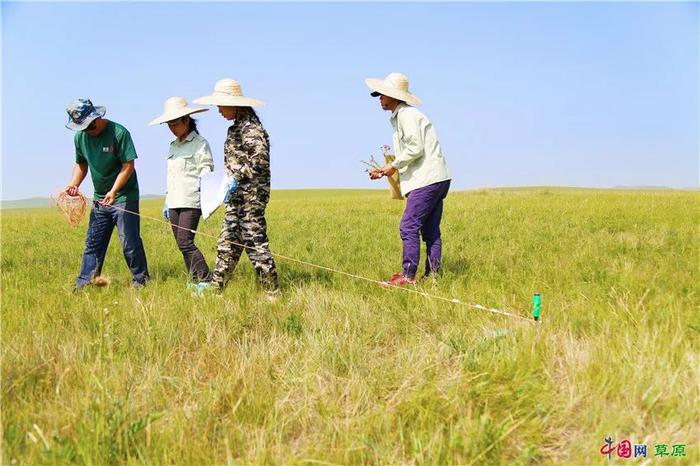 “草民”王召明建议:建“生态大数据平台”助力西部地区高质量发展