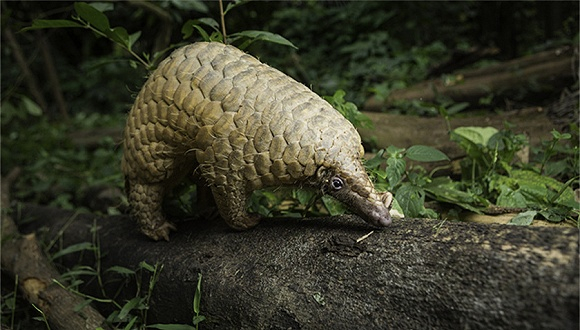 图片来源：视觉中国