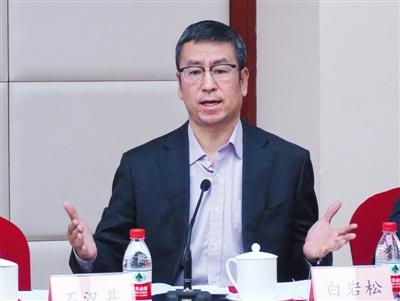 全国政协委员白岩松。新京报记者 陶冉 摄