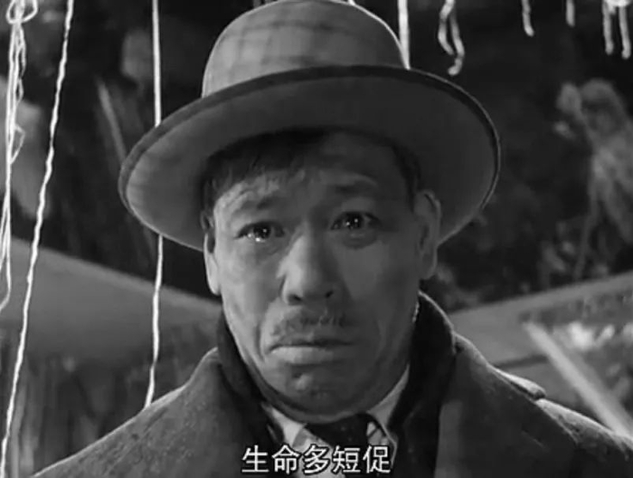 天门山翼装飞行女大学生：为自己而活，我不后悔