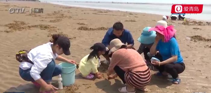 青岛这片海滩火了！